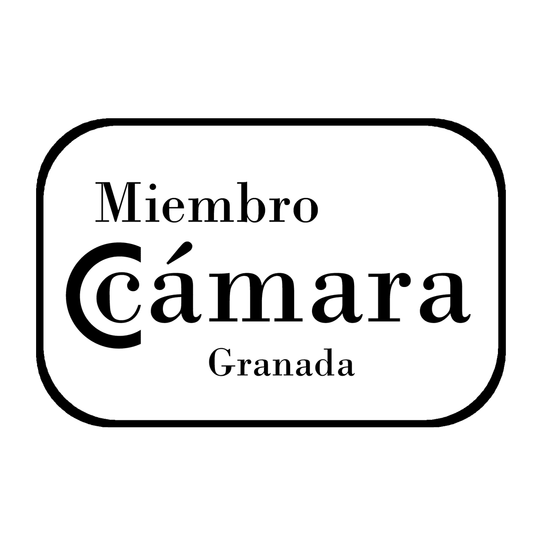 Participamos en la Camera de Comercio de Granada, Arquitectura y emprendimiento