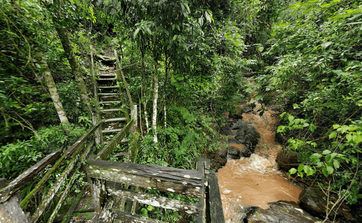 Cerro Corá: arquitectura inmersa en lo salvaje y respetuosa del paisaje jungloso de Paraguay